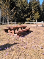 Vikendica na Goliji-odmor u prirodi