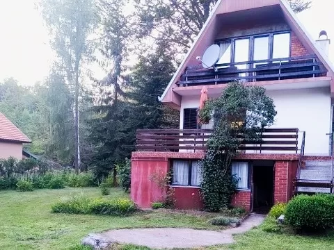 Vila Mirjana Vlasinsko jezero