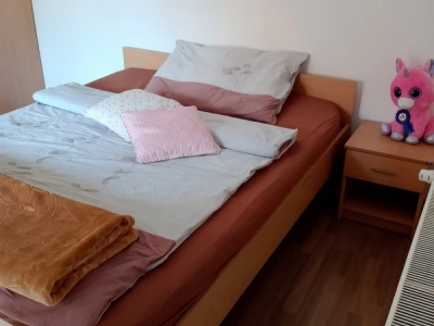 Trosoban stan u Zaječaru