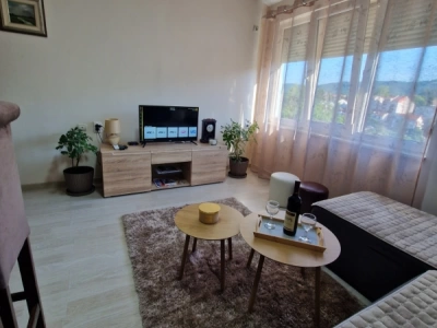 Studio apartman Vanja,  Arandjelovac