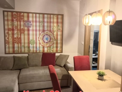 Zlatiborski konaci - Konak 23 - Apartman 4